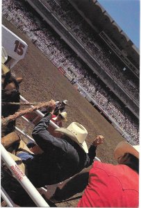 Calgary Stampede in July for 10 days Calgary Alberta Canada 4 by 6