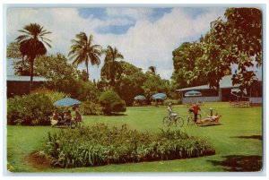 1960 View Tropical Garden Kauai Social Center Inn Hotel Hawaiian Island Postcard