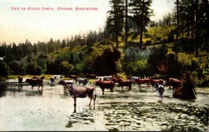 Washington Spokane Cattle Scene On Waikiki Ranch