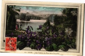CPA LYON-Les Violettes du Parc de la Tete d'Or (236082)