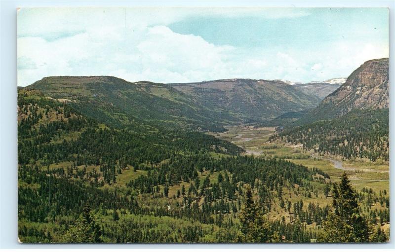 North Fork Canejos River Lamanga Pass Antonito Colorado CO Vintage Postcard D38