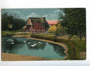 241260 GERMANY village ducks in pond 1918 year RPPC
