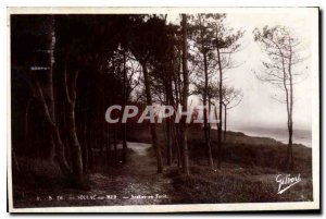 Old Postcard Soulac Sea Trail in Forest