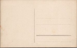 Liebau Lubawka Poland Multiview Unused Postcard E75