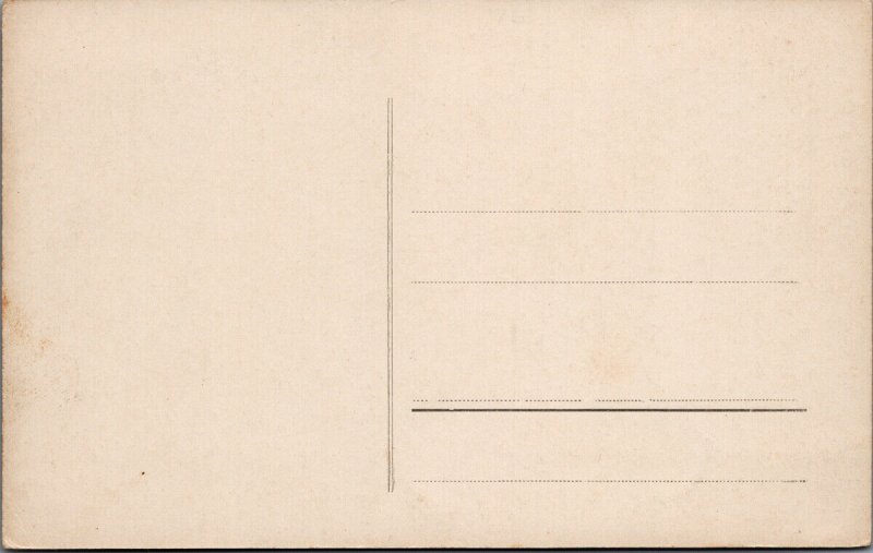 Liebau Lubawka Poland Multiview Unused Postcard E75