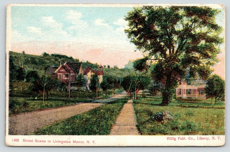 Livingston Manor New York~Main Street~Lots of Trees~c1905 