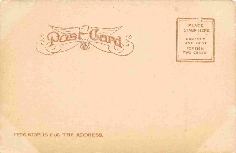 Wright Water Power Mill Fergus Falls Minnesota 1905c postcard