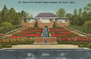 Vintage Postcard 1930's Scene In Beautiful Botanic Gardens Fort Worth Texas TX