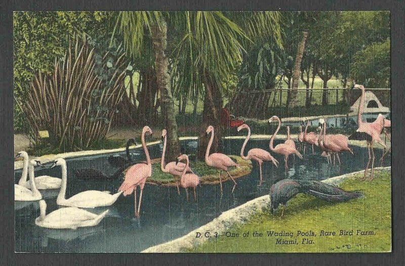 Ca 1940's PPC ADVERTISING CARD FOR RARE BIRD FARM MIAMI FL, MINT