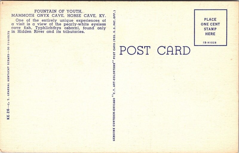 Fountain Of Youth Mammoth Onyx Cave Horse Cave Interior Kentucky DB Postcard 