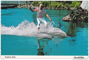 Dolphin Ride, The Roman Ride, Sea World, San Diego, California, 50-70´s