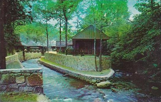 Tennessee Smoky Mountain Twin Island Motel on the Little Pigeon River In The ...