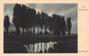L184 Germany Im Maerchenland Moonlight Hofmeister Trees vintage postcard