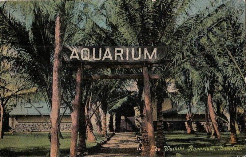 Postcard Waikiki Aquarium Honolulu Hawaii HI