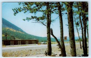 LEADVILLE, Colorado CO ~ Roadside LUCKY 2 MOTEL c1950s-60s Lake County Postcard