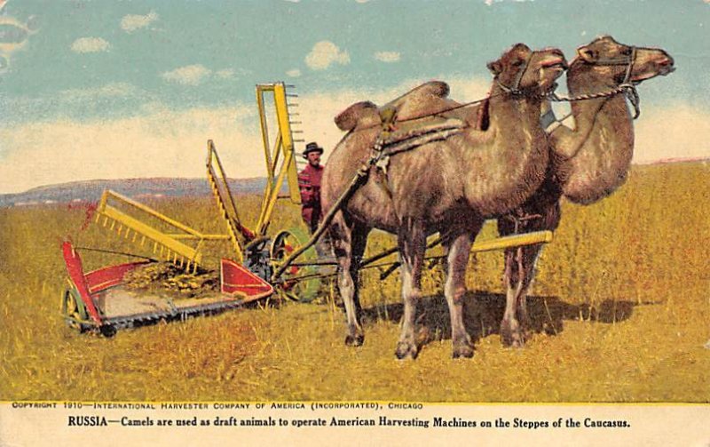 Camels, American Harvesting Machines Russia Farming Unused 