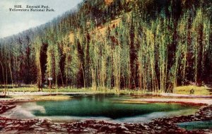 WY - Yellowstone Nat'l Park. Emerald Pool