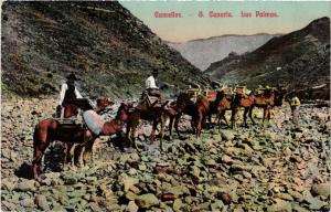 CPA AK Espagne LAS PALMAS DE GRAN CANARIA - Camellos (304785)