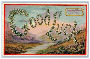 Language Of Flowers Romance Postcard Good Luck White Heather Salem Oregon OR