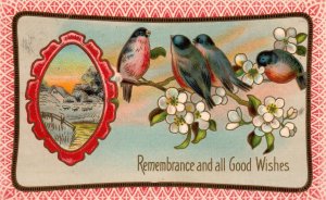 Remembrance Birds Scene