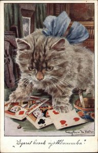 VALTER - Cute Kitten Cat Gets Into Playing Cards c1915 Postcard