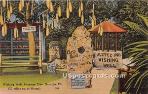 Wishing Well, Sausage Tree - Naranja, Florida FL  