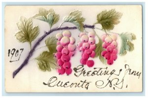 1907 Greetings From Oneonta New York NY Airbrushed Grapes Embossed Postcard 