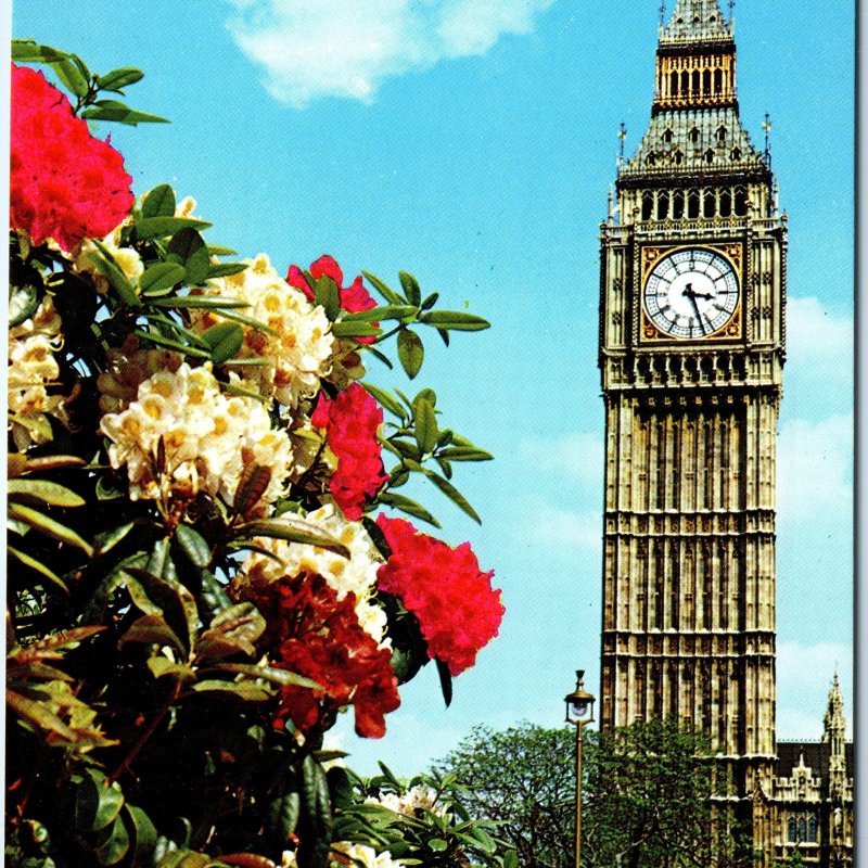 c1970s London, England Big Ben Clock Tower Parliament Flowers Chrome 4x6 PC M20