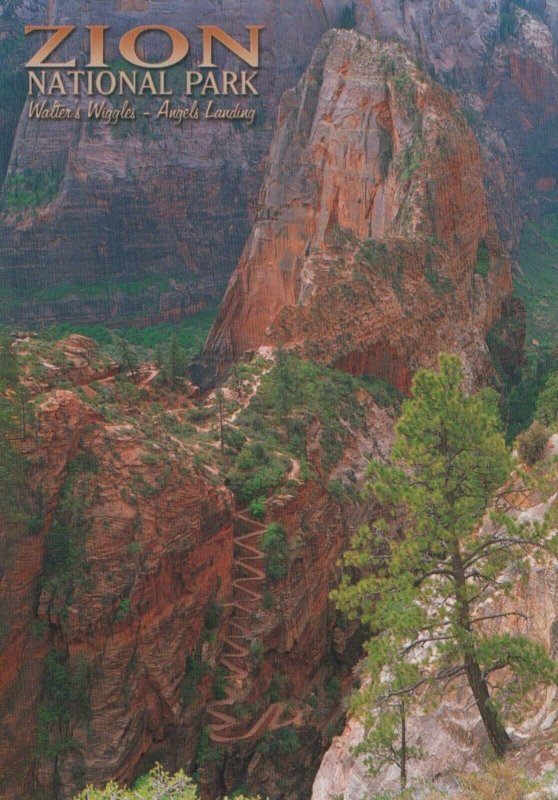 America Postcard - Walter's Wiggles, Zion National Park, Utah RRR252