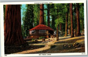 Yosemite National Park Big Trees Lodge WY Vintage Postcard W16