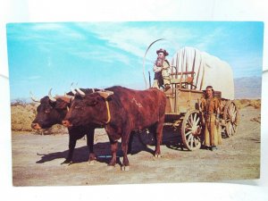 Ox Team Covered Wagon Buck Princess White Feather Desert Adventure Vtg Postcard