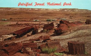 Vintage Postcard Petrified Forest National Park Colorful Collection Northern AZ