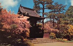 Oriental Tea Garden San Francisco California  