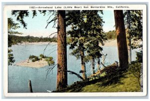 San Bernardino California CA Postcard Arrowhead Lake Little Bear c1940s Vintage