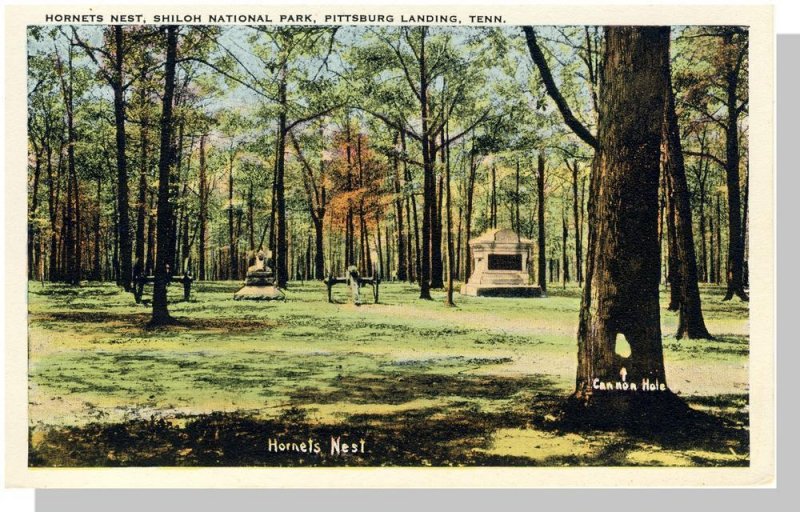 Pittsburg Landing,Tennessee/TN Postcard,Hornet's Nest/Shiloh