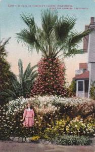 Paul De Longpre's Garden - Hollywood, Los Angeles, California DB