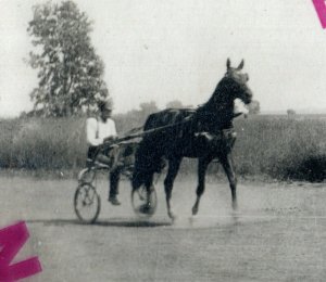 Palatine ILLINOIS RPPC c1910 HARNESS RACING Horse Race TRAINING FARM Trotting 