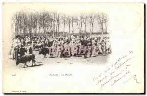 Old Postcard Boufarik Algeria The Walk