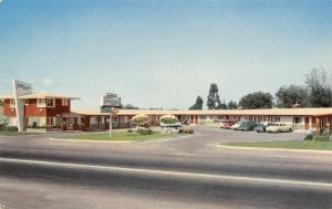 Santa Rosa California~TraveLodge Motel~Redwood Highway~1950s Cars~Postcard