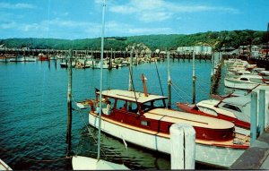 New York Long Island Port Jefferson Brook Haven Town Marina