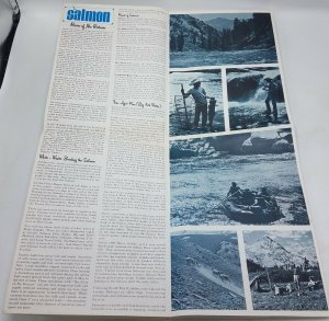 Vtg Circa 1970 The Salmon, River of No Return USDA Forest Service Map