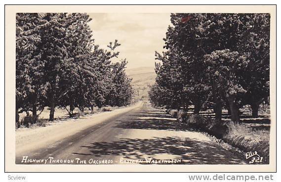 RP;  Apple Orchards , Eastern Washington  , 30-40s