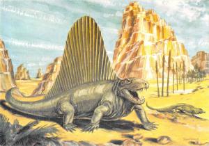 BR102793 dinosaur dinosaure postcard dimetrodon animal animaux