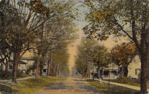 Minnequa Avenue Canton Pennsylvania 1917 postcard