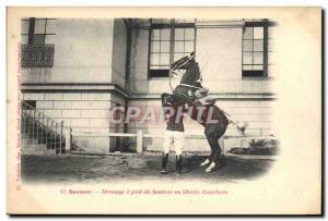 Old Postcard Saumur Horse Equestrian Dressage foot jumper at liberty Courbette