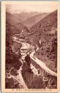 Blida La Vallee Des Moulins Algeria Highway Passage Mountain Antique Postcard