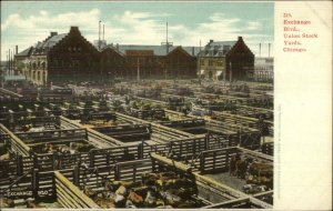 Chicago IL Union Stock Yards Exchange Blvd c1905 Postcard