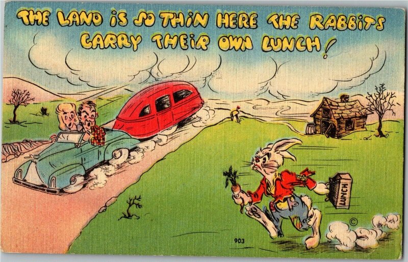 Comic, Couple with Camping Trailer, Rabbit Carrying His Lunch Postcard L30