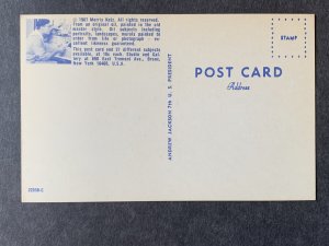Andrew Jackson By Morris Katz Chrome Postcard H1268083032