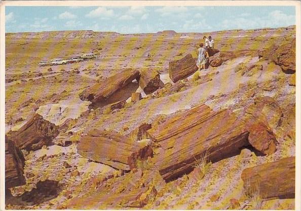 Petrified Forest National Monument Airzona